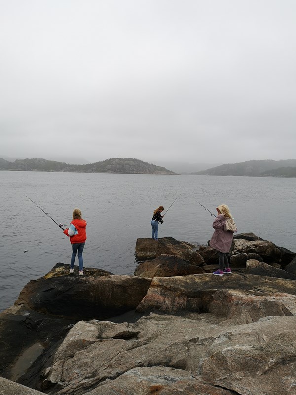 Bilde 20190601 160416 Feb357fd 3X